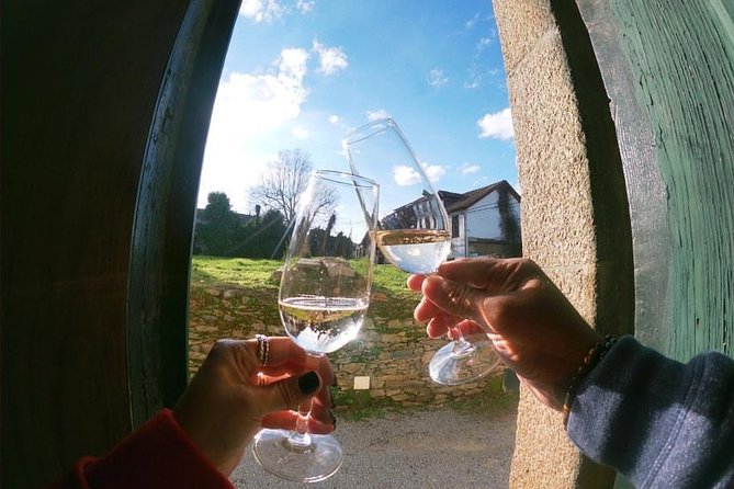 Private Douro Valley Tour from Porto - Port Wine Farm Visit and What It Adds to Your Understanding