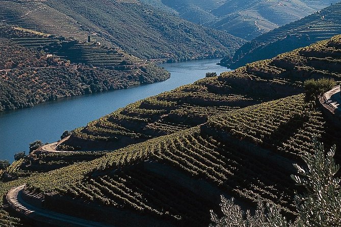 Private Douro Valley Tour Includes Wine Tasting and Boat Tour - Peso Da Régua Wine Tasting Stop: A Short Intro That Sets the Tone