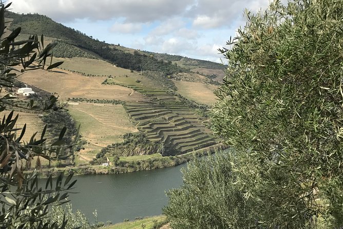 Private Douro Valley Tour Includes Wine Tasting and Boat Tour - Casal de Loivos Viewpoint: Short Time, Big Payoff