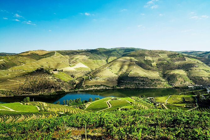 Private Douro Valley Tour Including 3 Wineries - Quinta do Tedo: a cellar-and-olive-oil tasting start