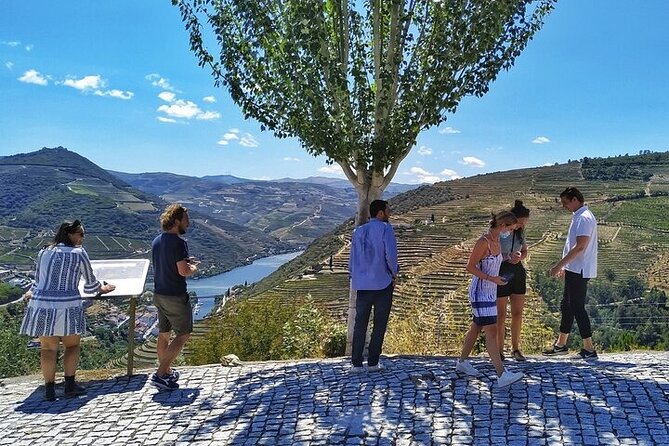 Private Douro Valley Tour Taylor Made from Porto - Key things to know before you go