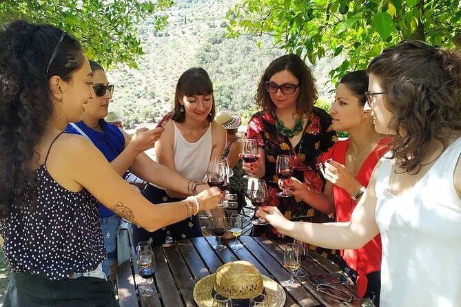 Private Douro Valley Tour Taylor Made from Porto - Port wine at a small Quinta, then Pinhão by the river