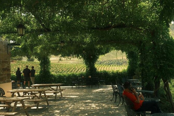 Private Douro Valley Tour with Lunch & Wines - What lunch and wine actually mean on this tour