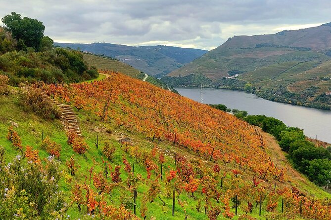 Private Douro Valley UNESCO Wine Tour from Porto with Lunch - Price and value: is $288.06 per person fair?