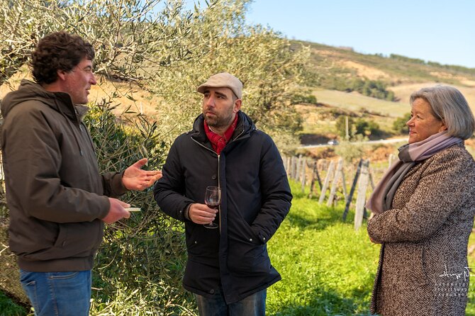 Private Douro Valley UNESCO Wine Tour from Porto with Lunch - Timing from Porto: what 8:00 am to about 5:00 pm feels like
