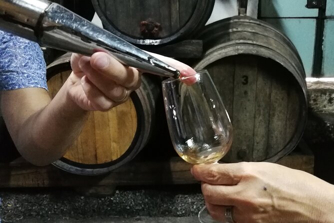 Private Douro Valley Wine Tour - Key Points You’ll Care About