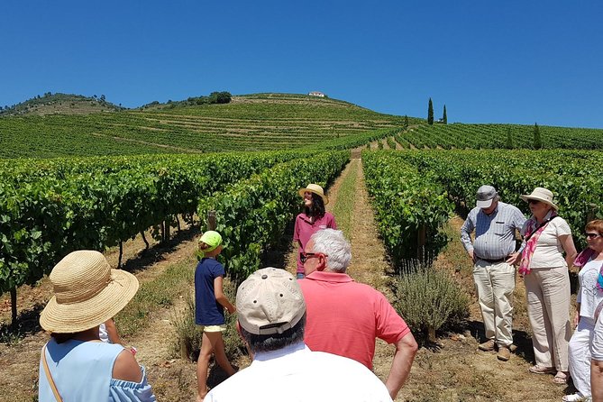 Private Douro Valley Wine Tour: 2 Wine Estates, Lunch and Cruise - Key highlights you should care about