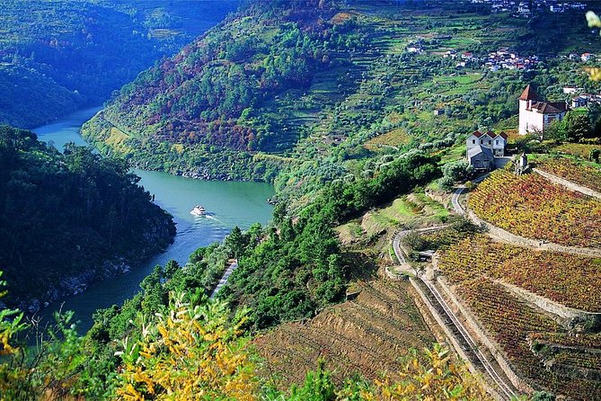 Private Douro Valley Wine Tour: 2 Wine Estates, Lunch and Cruise - Pinhão Rebelo Boat Cruise, River Views That Feel Like a Pause Button