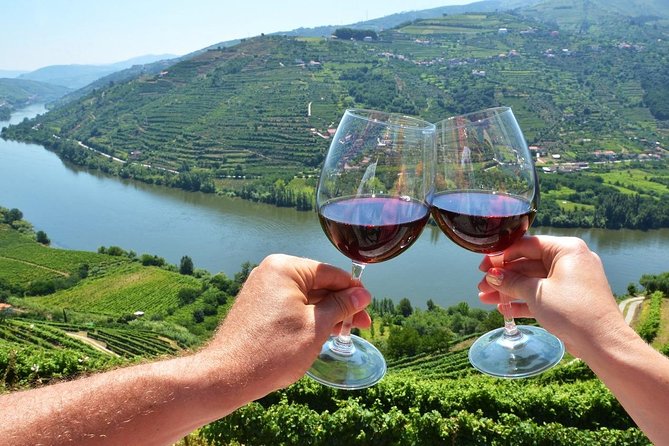Private Douro Valley Wine Tour: 2 Wine Estates, Lunch and Cruise - The Scenic Drive to Pinhão, and the Photo Stop on Estrada Nacional 222