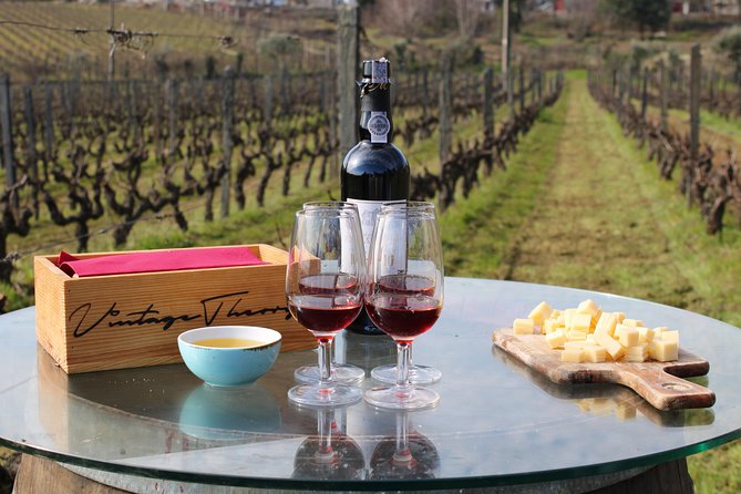 Private Douro Valley Wine Tour: 2 Wine Estates, Lunch and Cruise - Second Winery Tasting, From Vineyard to Bottle