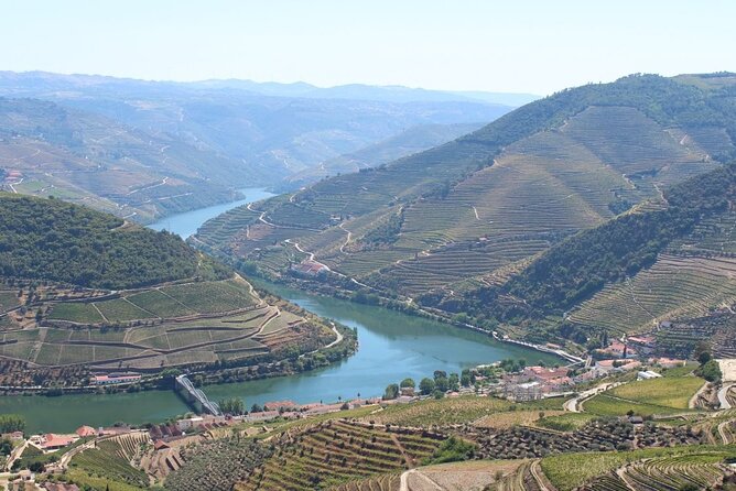 Private Douro Valley Wine Tour for True Wine Lovers - Key Highlights Worth Planning For
