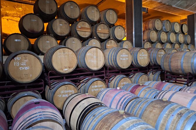 Private Douro Valley Wine Tour for True Wine Lovers - Lunch, Drinks, and Multilingual Guiding That Save You Effort