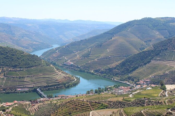 Private Douro Valley Wine Tour for True Wine Lovers - Price and Value: Is $265.11 Per Person Worth It?