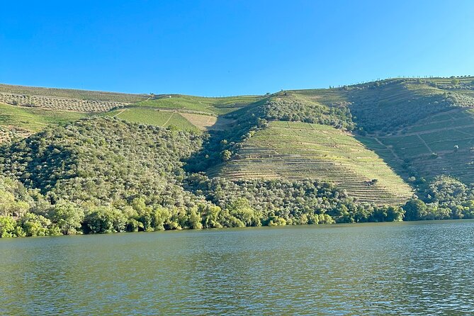 Private Douro Valley Winery Tour and River Cruise w/ Mercedes SUV - Douro River cruise: why 1 hour on the water is the payoff