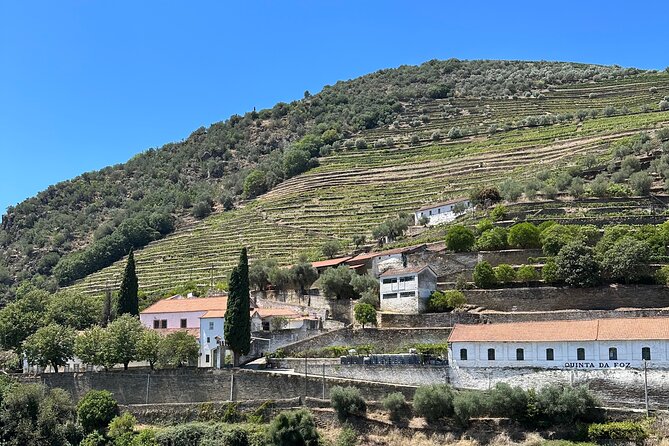 Private Douro Valley Winery Tour and River Cruise w/ Mercedes SUV - Timing and pacing: a 9:00 am start that fits a full day in Porto