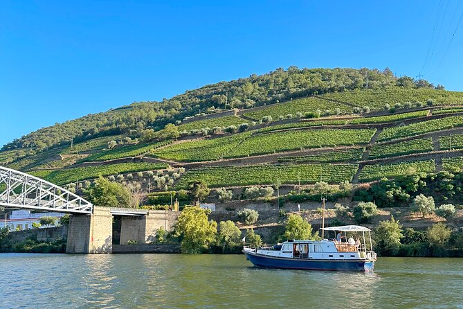 Private Douro Valley Winery Tour and River Cruise w/ Mercedes SUV - Who this tour is perfect for (and who should think twice)