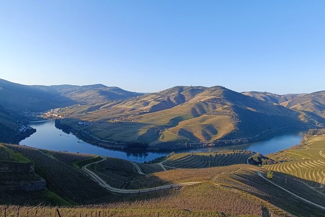 Private Douro Vallley Tour with wine taste and boat trip - Porto Pickup, the N222 Drive, and Why the Route Matters