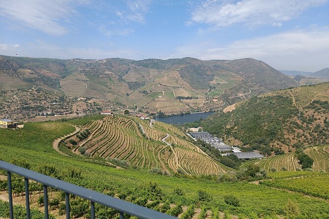 Private Douro Vallley Tour with wine taste and boat trip - Quinta de Santa Eufémia Wine Tasting: Where the Douro Story Begins