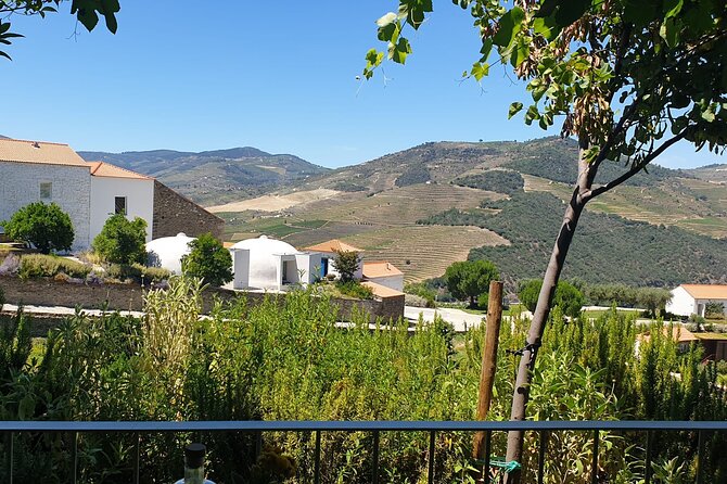 Private full-Day Tour to Douro Valley - From Porto at 08:30, then Straight Into Douro Country