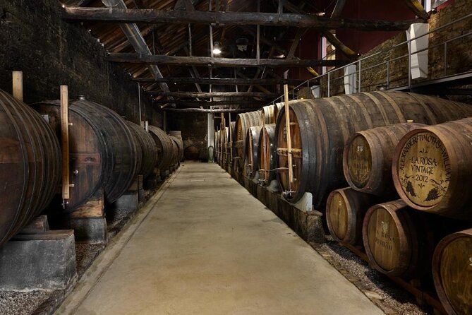 Private Half-Day Douro Tour - A 130-kilometer private Douro route from Porto