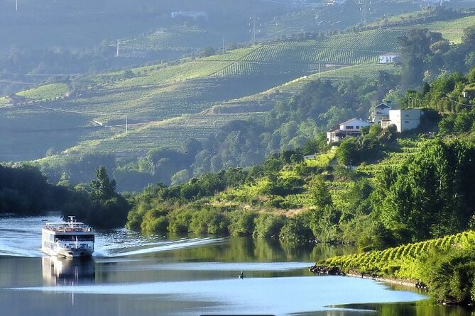 Private Half-Day Douro Tour - Quinta de La Rosa winery tasting with time to slow down