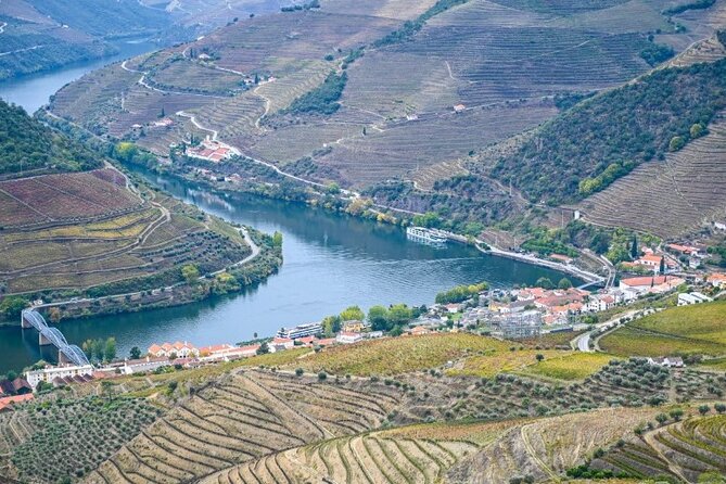 Private Half-Day Douro Tour - The one-hour Douro boat trip after lunch
