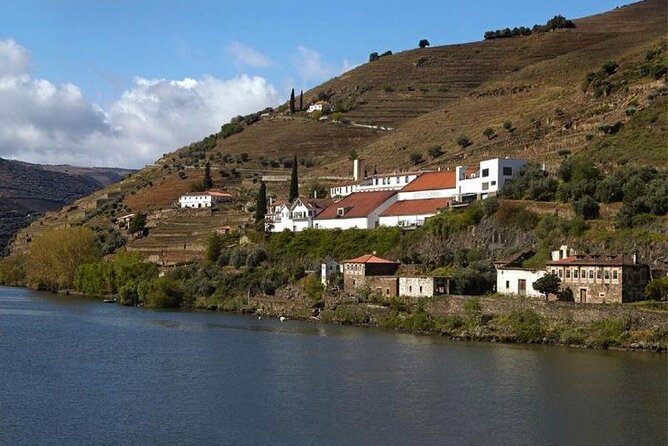 Private Half-Day Douro Tour - Mercedes V-Class pickup, start time, and how the day flows