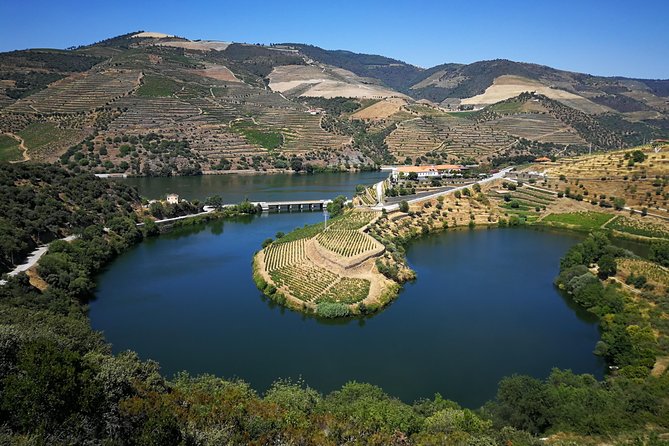 Private off the beaten Douro Valley Wine Tour - Key highlights to know before you go