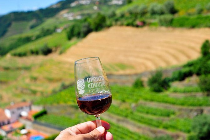 Private off the beaten Douro Valley Wine Tour - Lamego family estate and Port tasting