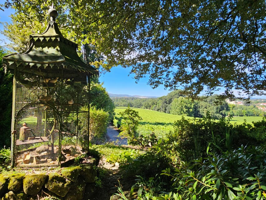 Private Sommelier Tour (Verde e Douro): 3 Wineries and Lunch - Why This Private Sommelier Day Works Better Than a Generic Wine Trip