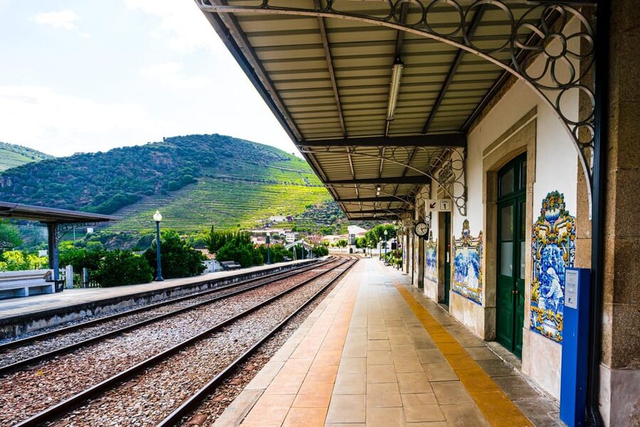 Private Sommelier Tour (Verde e Douro): 3 Wineries and Lunch - Lunch in Town: Traditional Portuguese Food Between Tastings