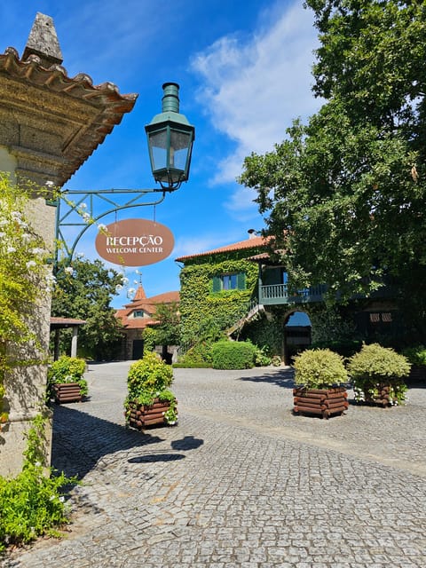 Private Sommelier Tour (Verde e Douro): 3 Wineries and Lunch - Getting Going: Pickup From Porto or Peso da Régua