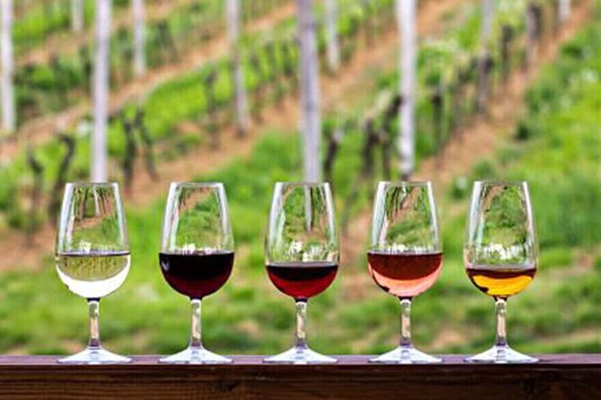 Private Taxi Tour in the Douro with a Visit to 2 Family Vineyards - Key Highlights You Should Know