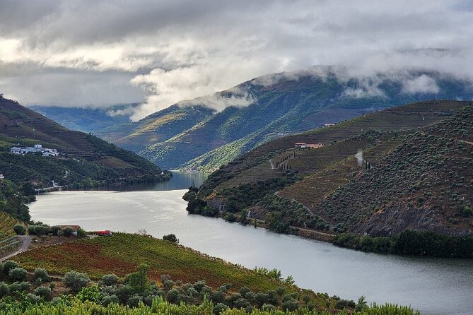 Private Taxi Tour in the Douro with a Visit to 2 Family Vineyards - Stop One in Peso da Régua: Family Winemakers, Red and White Tastings, Olive Oil Too