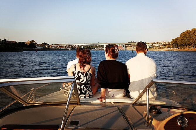 Private Tour 6 Bridges and Douro 2h opt. sunset, group price up to 6px - Serra do Pilar area: your high bank viewpoint over the Douro