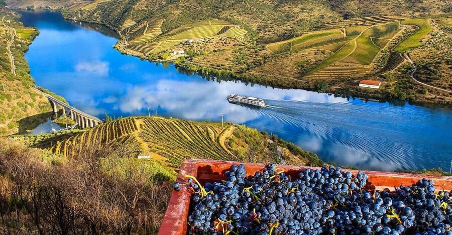 Private Tour: Douro Valley Wine and Food From Porto - Timing and Flex Choices: How to Build the Best Day for Yourself