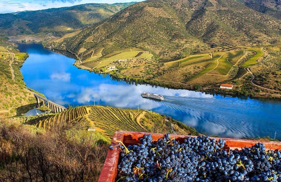 Private Tour: Douro Valley Wine and Food From Porto - Pinhão: UNESCO Status, Guided Views, and Another Tasting