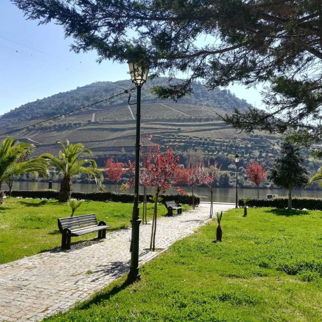 Private Tour: Douro Valley Wine and Food From Porto - Morning Winery Choice: Flexible, But Watch the Details