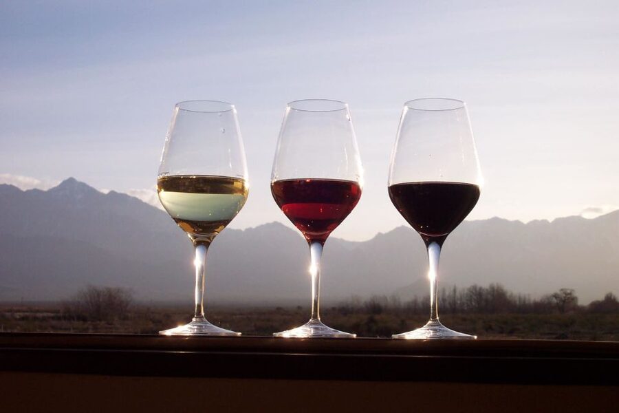 Private Tour: Douro Valley Wine and Food From Porto - Price and Logistics: What $212 Buys You, and What It Does Not