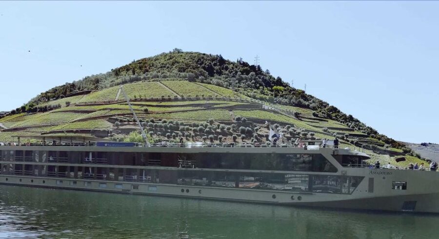 Private Tour: Douro Valley Wine and Food From Porto - Family-Friendly, Private Group Pace, and Real Guide Impact