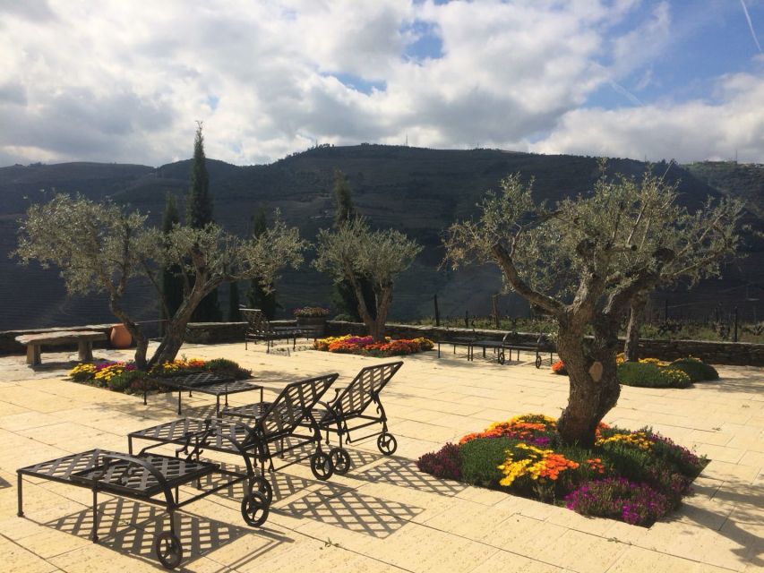 Private Tour: Douro Valley Wine and Food From Porto - Peso da Régua: Guided Touring and an Early Wine Tasting