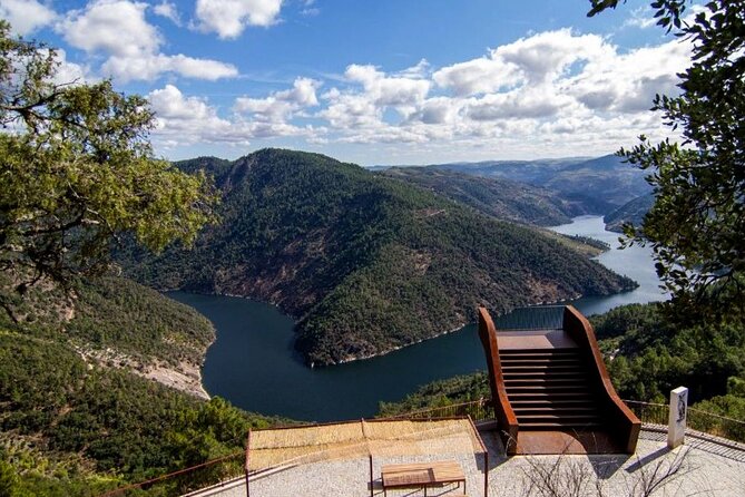 Private Tour from Porto : Douro Valley and Green Wines - The Guide Matters, Especially When It’s Pedro