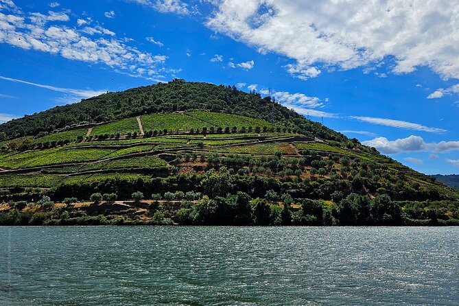 Private Tour from Porto : Douro Valley and Green Wines - Price and Value: What $216.26 Buys You