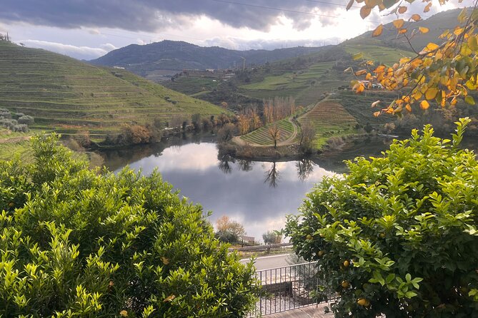 Private Tour From Porto To Douro Valley With River Boat Ride - Pinhão lunch and the Douro DOC tasting format