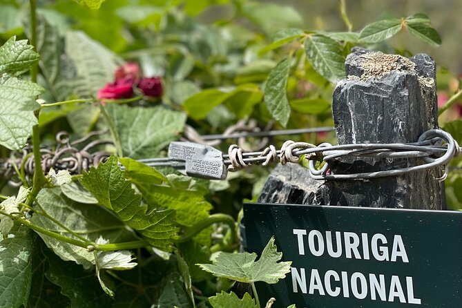Private Tour From Porto To Douro Valley With River Boat Ride - Douro River on a Rabelo boat: the one-hour reset