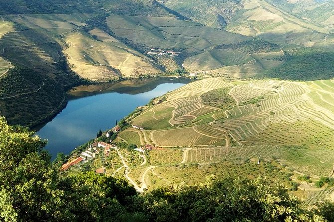 Private Tour in Douro Valley Wine Region & Traditional Lunch - Price And Value: Is $263.62 Fair For A Full Private Wine Day?
