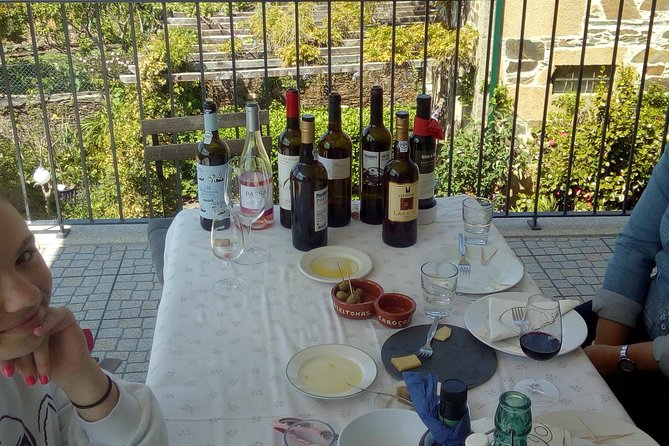 Private Tour in Douro Valley Wine Region & Traditional Lunch - The Drive And Viewpoints: Getting The Lay Of The Valley
