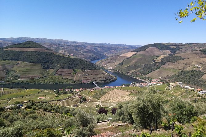 Private Tour to stunning Douro Valley and most renowned wineries - Quick Hits on This Douro Day