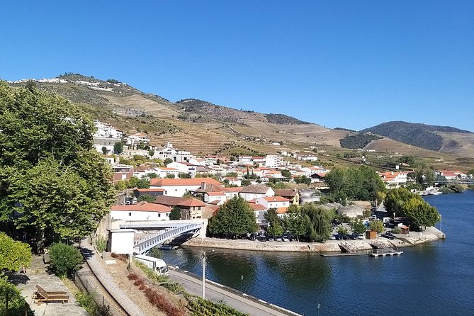 Private Tour to stunning Douro Valley and most renowned wineries - Choosing Quintas and Tastings: Build Your Wine Day Your Way