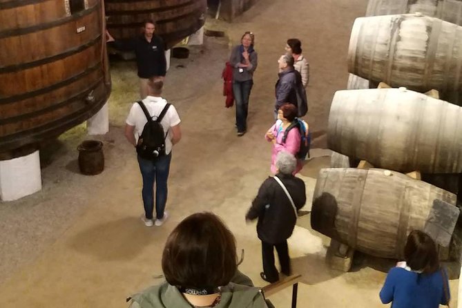 Private Tour to stunning Douro Valley and most renowned wineries - From Porto at 8:00 am, With Comfort That Makes the Day Easier
